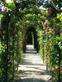 Careerbuilder, CB Instant, JobScout24.de und Joblocal – hm…