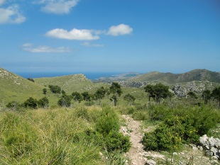 Nachgefragt: JobScout24.de leitet um auf jobs.de