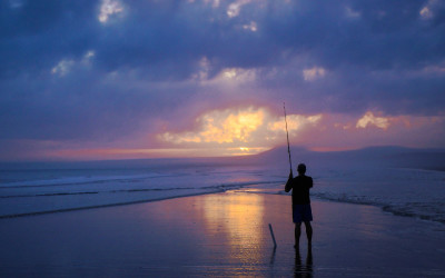 Internet Reichweite, Jobportale und Recruiting Erfolg: Chaos, Probleme und Lösungen
