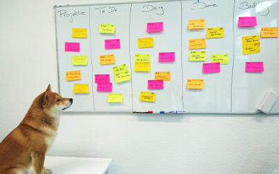 next level auf dem Weg zur agilen Personalberatung – Monat 1