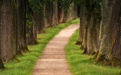 HR Blogger & Social Media Marketing: Zeigt her Eure Feeds