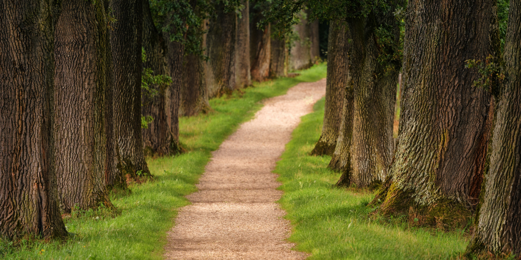 HR Blogger & Social Media Marketing: Zeigt her Eure Feeds