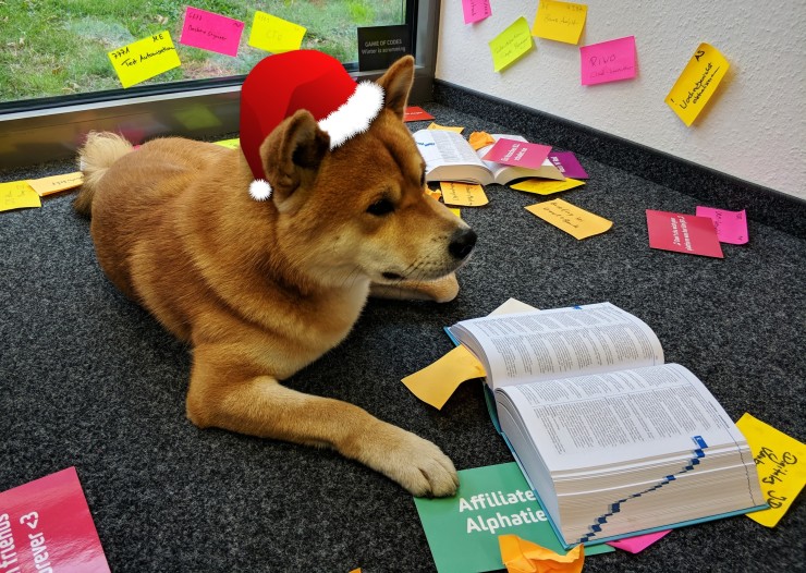 Nach 6 Monaten agiler Change lohnt sich zum Jahresende ein Rückblick. Foto: next level